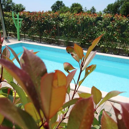 Apartments Green Garden Labinci Luaran gambar