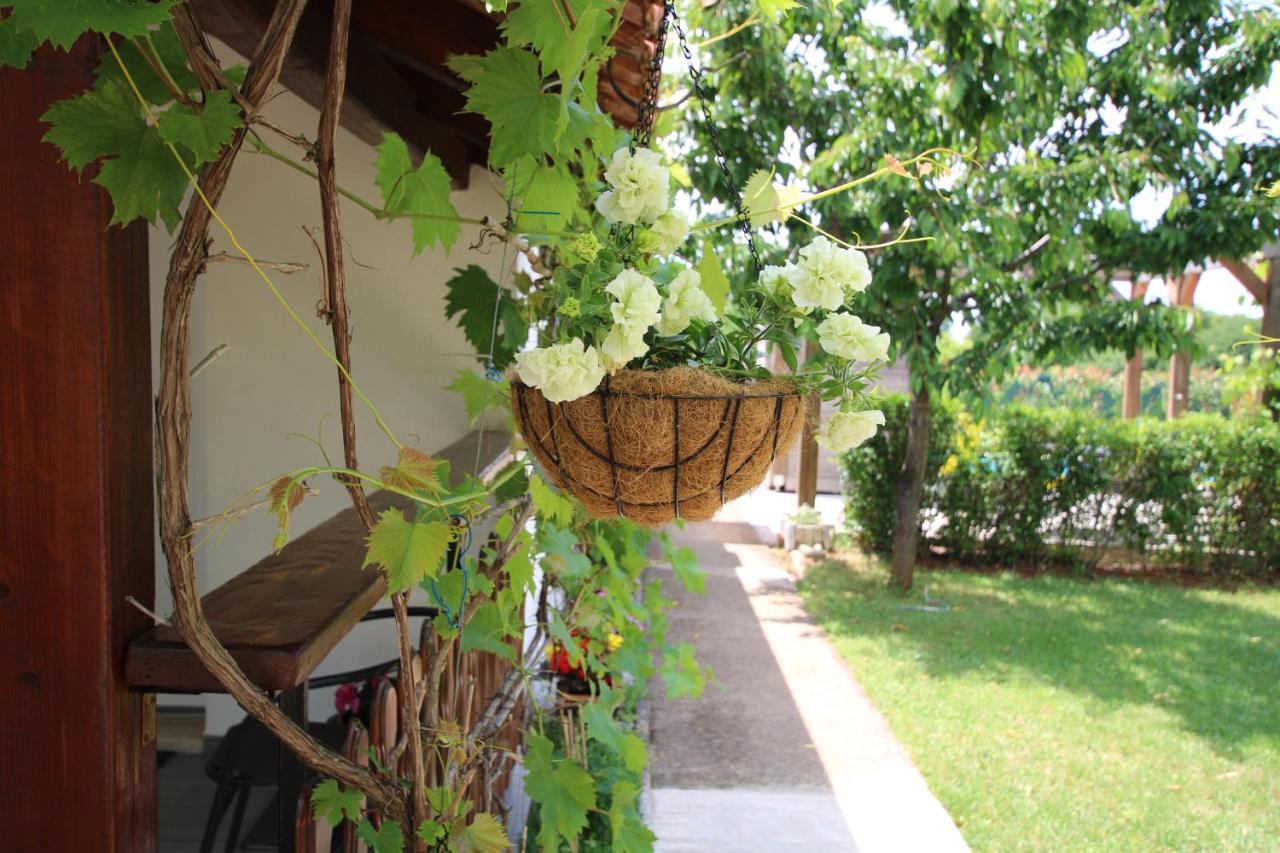 Apartments Green Garden Labinci Luaran gambar